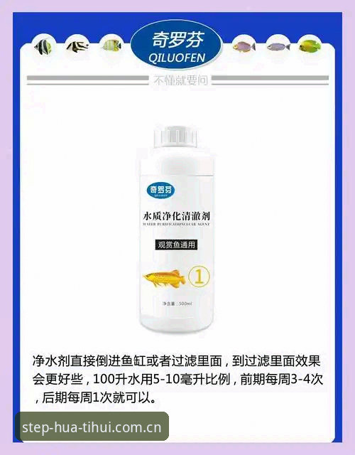 华体会CN见证每一步 尤文图斯夏季转会窗口操盘思路解析与观赏指南